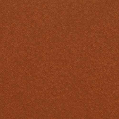 Coral 4031