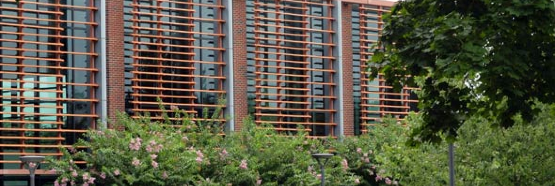 Cladding Corp Terra5 Terracotta Sunscreen Louver System Elevation