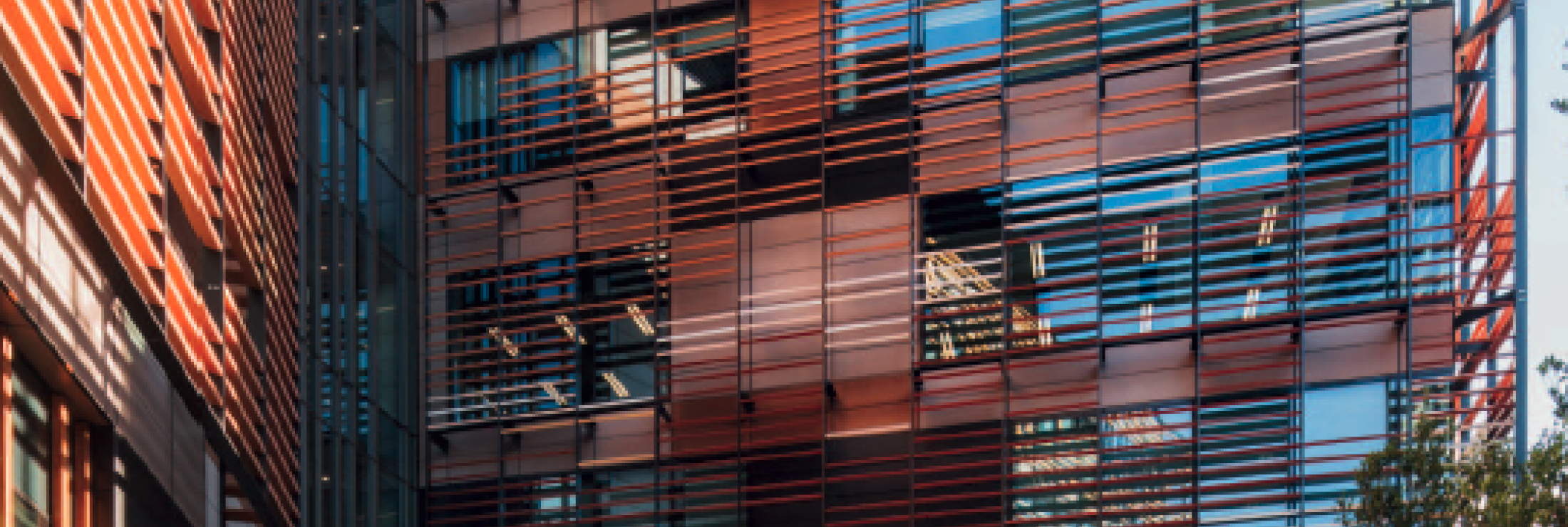University of Sydney - School of Business - Terra5 TCShade Terracotta Sunscreen Application